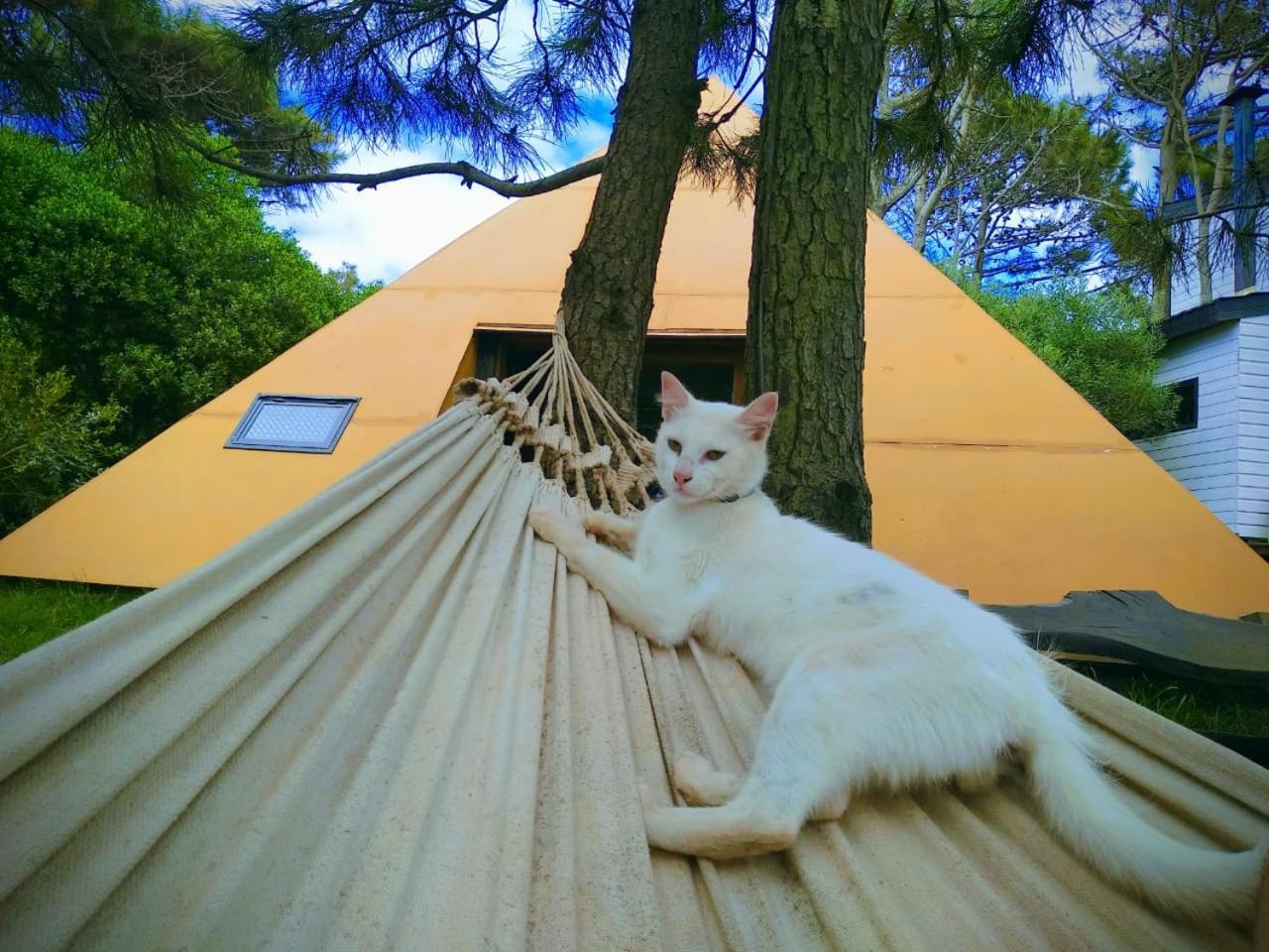 Piramide Villa Punta Del Diablo Ngoại thất bức ảnh